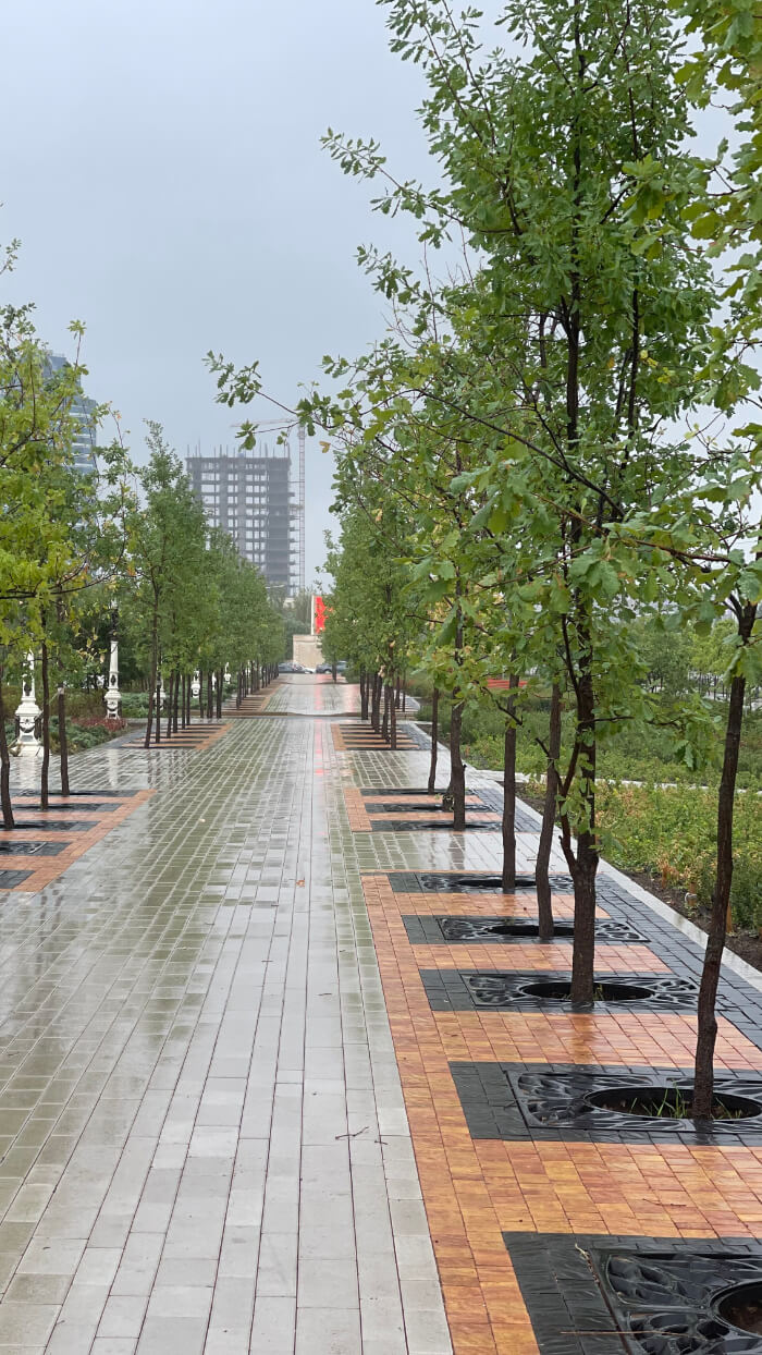 Приствольная решетка для дерева ZKING CRUST 1.2х1.2м Черная в Муроме фото